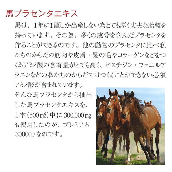 イズンプレミアム300000 500ml (馬プラセンタ ドリンク 原液 サプリ 美容 ) 2