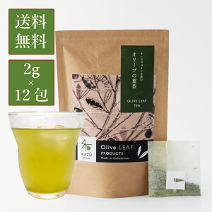 国産 農薬不使用 オリーブ茶 （2g×12包） （国産 オリーブティー オリーブ葉 ティーバック ティーパック 水出し 静岡県浜松市 和Olive園 水出し メール便 農薬不使用 ノンカフェイン 無農薬） 【送料無料】