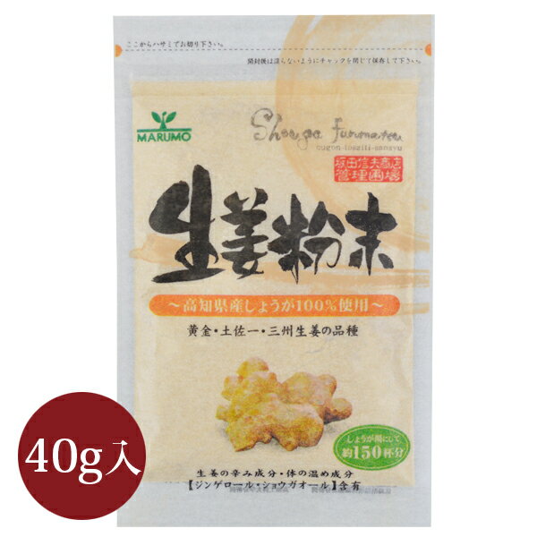 メール便送料無料 生姜粉末 40g （国産 生姜茶 高知県産 冷え）