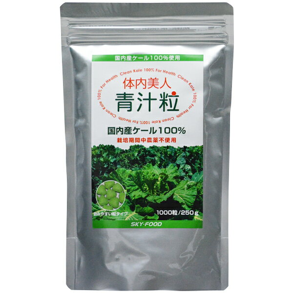 メール便送料無料 体内美人青汁粒 250g （スカイフード 農薬不使用　無農薬 野菜 ケール サプリメント 国産 国内産）