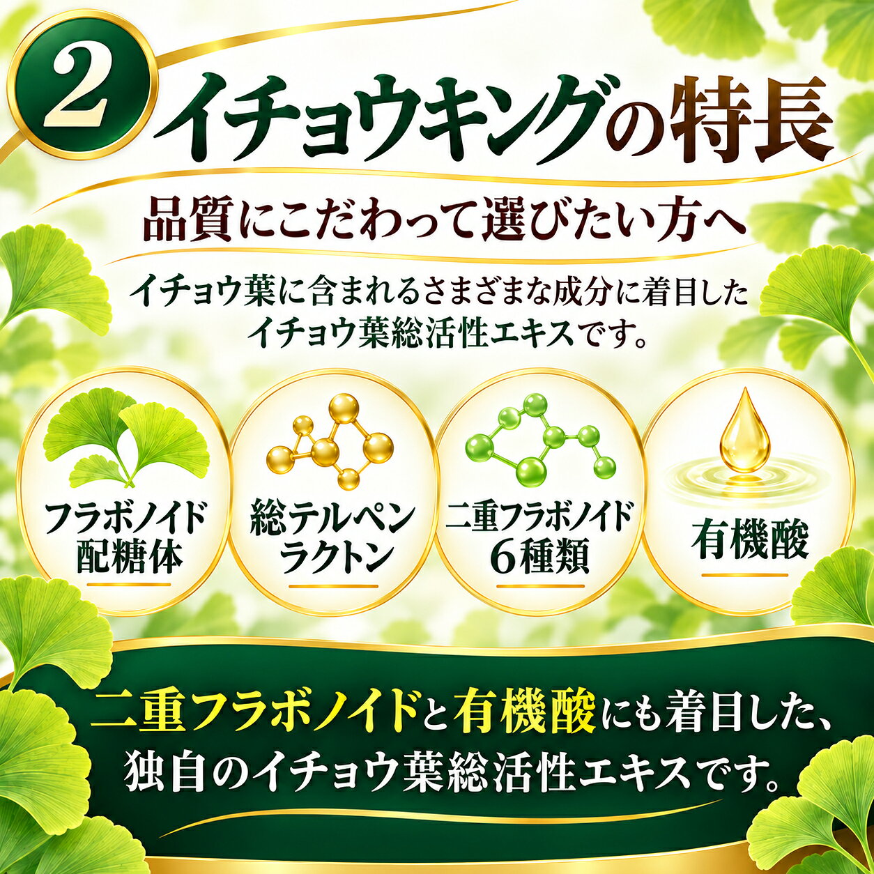イチョウ葉エキス 国産 イチョウキング 50mL 液体 サプリメント 国産イチョウ葉使用 フラボノイド配糖体 テルペンラクトン 二重フラボノイド 有機酸 健康補助食品 jhb-10001057 ナチュレルハウス サンプル画像3
