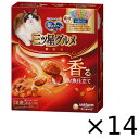 銀のスプーン 三ツ星グルメ 全成長段階用 4種の素材入りアソートお魚レシピ 200g×14