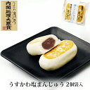 うすかわ 塩まんじゅう 2個 袋入 メーカー直送 北海道小豆 和菓子 饅頭 受賞 お取り寄せ 石川県 金沢 末広堂