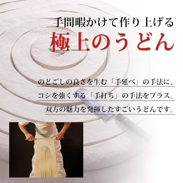 お中元 氷見うどん 海津屋 送料無料 通販 ひみうどん 乾麺　お歳暮 ギフト 富山 海津屋 氷見うどん 細麺 2本入つゆ付 包装柄化粧箱入 ひみうどん 乾麺 老舗 TV紹介 名産 名物 お土産 手土産 通販