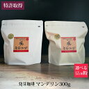 発芽珈琲 マンデリン 300g 選べる 豆 粉 産地直送 コーヒー豆 特許取得 イミー