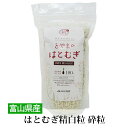 国産 はとむぎ 精白粒 砕粒 500g 無添加 とやまのはとむぎ 炊飯用 挽き割り ヨクイニン 富山県産 送料無料 産地直送 JAいなば