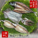 お中元 ギフト 氷見の干物 セット 2 (一夜干し) 冷凍便 メーカー直送 さば かます するめいか 干物 送料無料 富山 越田商店