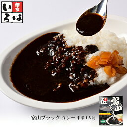 富山ブラック カレー 中辛 1人前 メーカー直送 天高く 麺家いろは