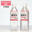 大観峯 北アルプス保存水 500mL 24本入 5年保存 災害備蓄用 立山 おいしい自然水 天然水 ミネラルウォーター 水どころ 飲料水 備え 送料無料