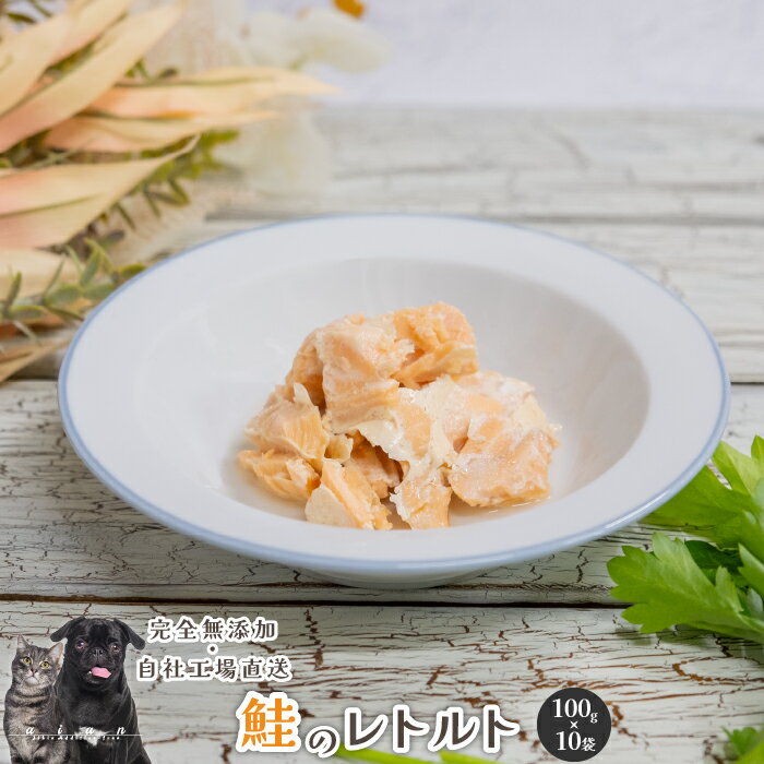 【LINE登録で300円OFFクーポン】 鮭のレトルト1kg 100g 10P 犬 無添加 おやつ aian あい庵 dog cat さけレトルト しゃけレトルト シニア 高齢犬 犬ごはん 愛犬用 愛猫用 栄養補給 防災 防災グ…