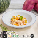 【10%OFFセール】 鮭と野菜のレトルト1kg(100g×10P) 犬 無添加 おやつ aian あい庵 犬用 猫用 ウェットフード ドッグフード 手作り食 ...