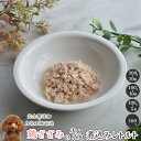 鶏ささみのホロホロ煮込みレトルト 犬 無添加 おやつ aian あい庵 犬用 猫用 鶏肉 鶏ささみ ウェットフード ドッグフード 手作り食 アレルギー 国産 鶏...
