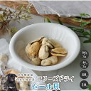 フリーズドライムール貝 犬 無添加 おやつ aian あい庵 犬用 猫用 フリーズドライ ムール貝 イガイ タウリン 亜鉛 犬用おやつ 猫用おやつ 低カロリー ドッグフード キャットフード 柔らかい パピー シニア