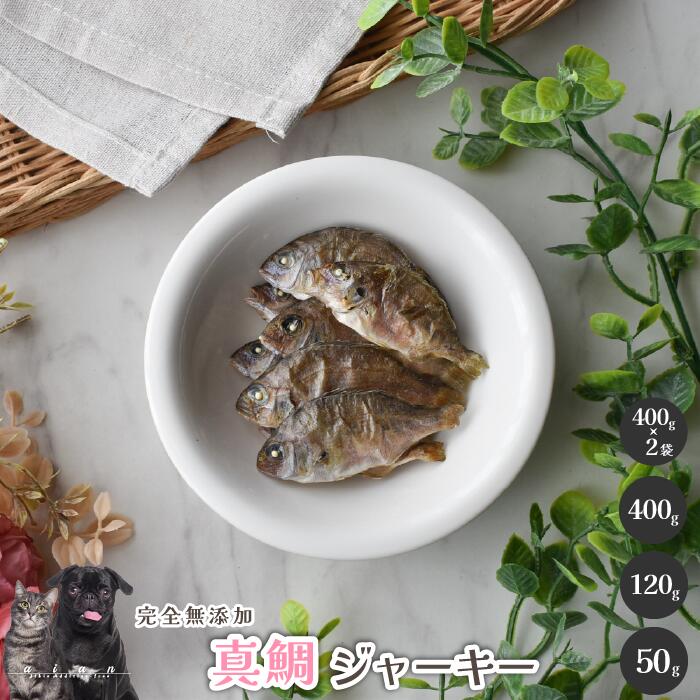 Τ ӥŹä㤨֡50OFF!Ŵ11/14-11/27 䥸㡼  ̵ź  aian   ǭ     DHA EPA 륷 եå н ɥåա 꿩 륮 꿩 ȥåԥ  淿 緿 ꤴӡפβǤʤ413ߤˤʤޤ