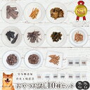 無添加おやつお試し10種セット(25g〜30g) 犬 無添加 おやつ aian あい庵 あいあん 犬用 猫用 馬肉 鹿肉 猪肉 鶏ささみ まぐろ チップ ジャー...