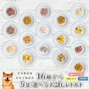 16種から選べる 無添加レトルトお試し5種(80g〜100g) 犬 無添加 おやつ aian あい庵 国産 犬用 猫用 馬肉 鹿肉 猪肉 鶏肉 鮭 サケ 魚 レ...