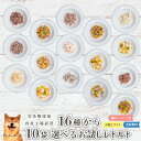 16種から選べる 無添加レトルトお試し10種(80g〜100g) 犬 無添加 おやつ aian あい庵 国産 犬用 猫用 馬肉 鹿肉 猪肉 鶏肉 鮭 サケ 魚 ...
