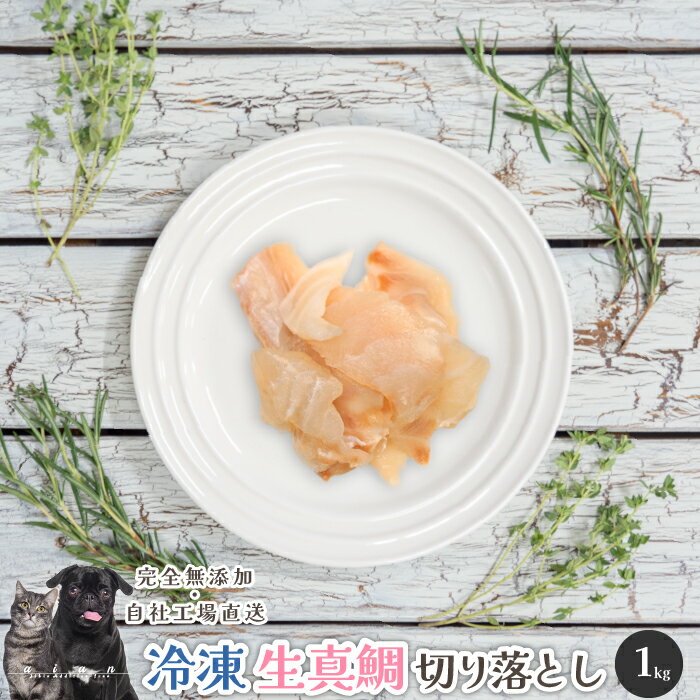 【LINE登録で300円OFFクーポン】■冷凍生真鯛切り落とし1kg■ 犬 無添加 おやつ aian あい庵 犬用 猫用 国産生真鯛 冷凍真鯛 真鯛 冷凍 生食 生真鯛 まとめ買い 犬用おやつ ドッグフード 犬ご飯 手作り トッピング ご馳走【8.000円(税込)以上のご注文で送料無料】