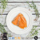 【20%OFF!開催期間6/4-6/11】 冷凍生鮭切り落とし1kg 犬 無添加 おやつ aian あい庵 犬用 猫用 ドッグフード 冷凍 生魚 手作り食 アレ...