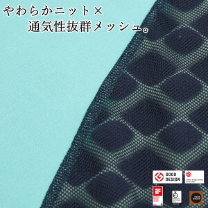 【AiR】エアークッションLライトグリーン5×40×80cm