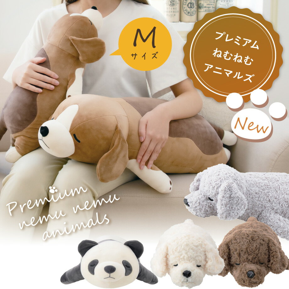 ねむねむネムネムプレミアム抱きまくらMサイズ