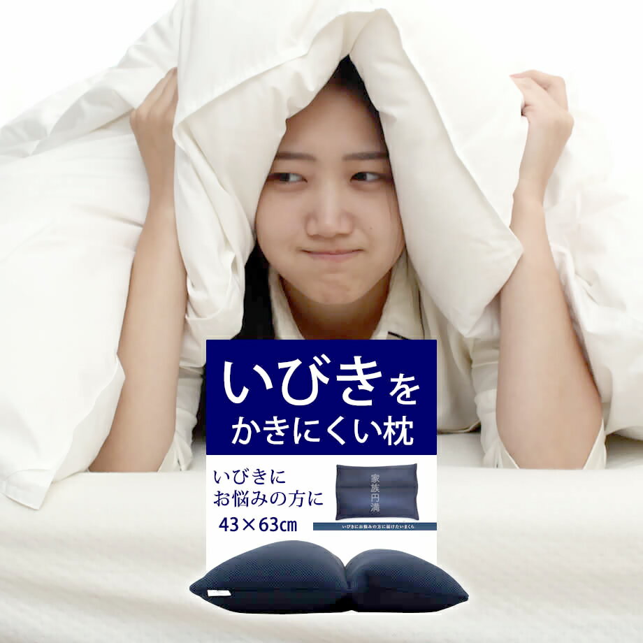 いびきをかきにくいまくら 洗える 枕 約43×63cm いびき防止 イビキ対策 パイプ ネイビー 高さ調節 日本製 睡眠改善 いびき枕 いびきまくら ギフト GIFT プレゼントのサムネイル