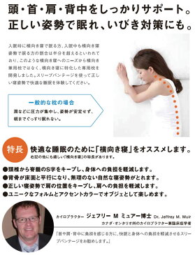 【総合1位獲得!!】 フランスベッド スリープバンテージ | 枕 抱き枕 まくら 横向き寝用枕 可愛い 抱きまくら いびき いびき防止 クッション 肩こり 横向き プレゼント 横寝 横向き枕 マクラ スリープバンテージピロー だきまくら 横寝枕 横向き寝