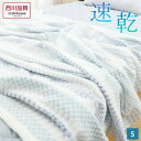 \20時20%クーポン/西川 タオルケット シングルサイズ 肌さわり、やわらか。ドビー織りタオルケット ボーダー 西川 綿 コットン やわらか ふんわり さらさら 夏 ケット パイル タオル 汗っかきな子どもにも 天然素材 セルロース