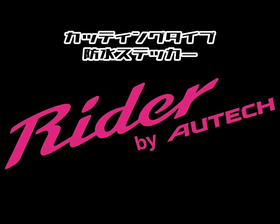 日産ライダーステッカー■Rider■縦6.7cm横38cm■カッティング防水ステッカー■全16色選択■AUTECH