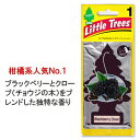 リトルツリー 芳香剤 車 アメリカ エアーフレッシュナー カー用品 カーアクセサリー Little Trees レギュラーサイズ ブラックベリークローブ 【メール便OK】_AF-AF17343-MON