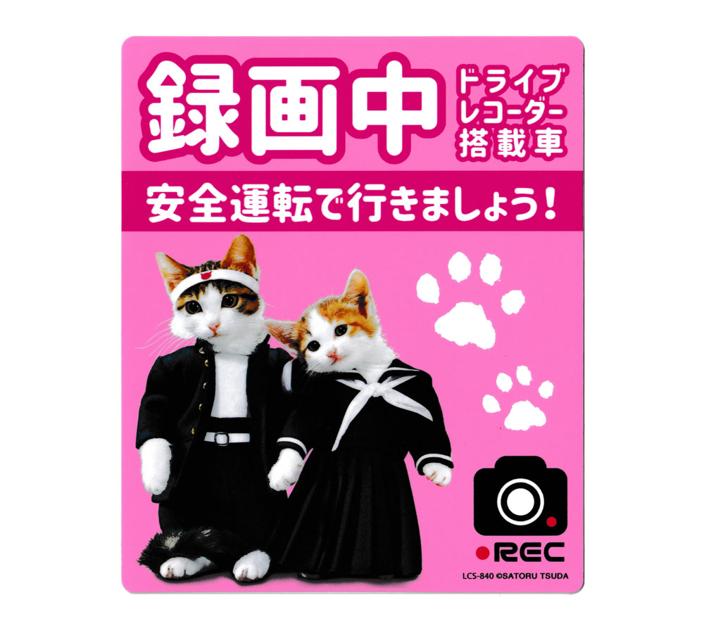 なめ猫 ステッカー かわいい レトロ 昭和 懐かしい 猫 グッズ ドライブレコーダーステッカー ピンク 【..