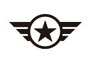 ミリタリー ステッカー アメリカン 車 おしゃれ かっこいい スーツケース アウトドア キャンプ バイク ヘルメット カーステッカー 転写ステッカー ウイングスター 【メール便OK】_SC-MLMS028-AHD