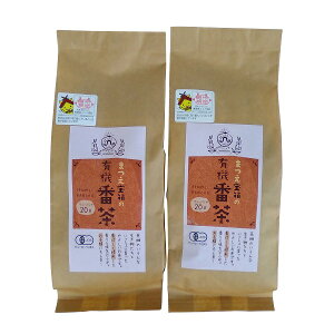 有機番茶ティーバッグ（やかん・ポット1.5L用）×2袋セット【松江市大庭町・宝箱】【小型宅配便】