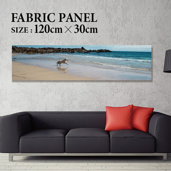 �ե��֥�å��ѥͥ� 120x30cm ��������Ǥ�ޯ��ˡ� �����ȥѥͥ� �䥷 ���� ����ƥꥢ ������ �ѥͥ� �ܡ��� ���� �ե졼�� �͵� �ɳݤ� ������ ...