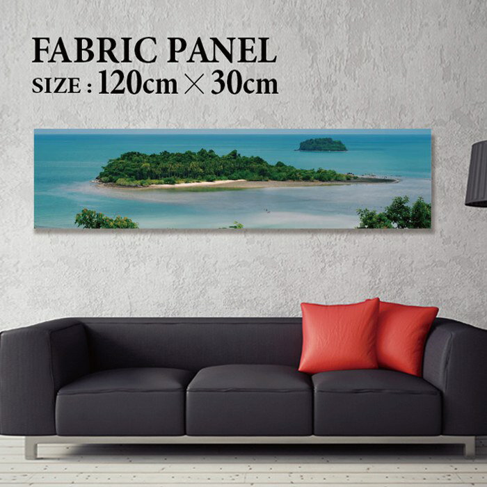 �ե��֥�å��ѥͥ� 120x30cm ��������Ǥ�ޯ��ˡ� �����ȥѥͥ� �䥷 ���� ����ƥꥢ ������ �ѥͥ� �ܡ��� ���� �ե졼�� �͵� �ɳݤ� ������ ...