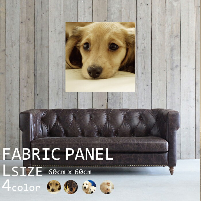 Sale80 ファブリックパネル 60x60cm 飾るだけでお洒落に アートパネル お洒落 部屋 インテリア アート パネル ボード 雑貨 フレーム 人気 壁掛け アートフレーム Diy インテリア オシャレ ソファー ウォール 北欧 生地 キット 壁紙 アニマル イヌ 犬 いぬ 子犬 かわいい Sale80 ファブリックパネル 60x60cm 飾るだけでお洒落に アートパネル お洒落 部屋 インテリア アート パネル ボード 雑貨 フレーム 人気 壁掛け アートフレーム Diy インテリア オシャレ ソファー ウォール 北欧 生地 キット 壁紙 アニマル イヌ 犬 いぬ 子犬 かわいい