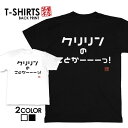 tシャツ ネタtシャツ tee おもしろtシャツ おもしろ雑貨 漢字 文字 メッセージtシャツ ネタtシャツ 文字tシャツ パロディTシャツ ふざけtシャツグッ...