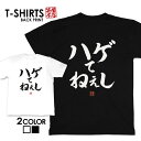 tシャツ ネタtシャツ 送料無料 tee おもしろtシャツ おもしろ雑貨 漢字 文字 メッセージtシャツ ネタtシャツ 文字tシャツ パロディTシャツ ふざけtシャツグッズ メンズ レディース 名言 格言 語録 パロディ プレゼント ギフト 名言 半袖 S M L XL ティーシャツ