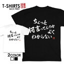 面白グッズ（2000円程度） tシャツ ネタtシャツ 送料無料 tee おもしろtシャツ おもしろ雑貨 漢字 文字 メッセージtシャツ ネタtシャツ 文字tシャツ パロディTシャツ ふざけtシャツグッズ メンズ レディース 名言 格言 語録 パロディ プレゼント ギフト 名言 半袖 S M L XL ティーシャツ