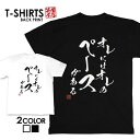 tシャツ ネタtシャツ 送料無料 tee おもしろtシャツ おもしろ雑貨 漢字 文字 メッセージtシャツ ネタtシャツ 文字tシャツ パロディTシャツ ふざけtシャツグッズ メンズ レディース 名言 格言 語録 パロディ プレゼント ギフト 名言 半袖 S M L XL ティーシャツ