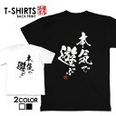 tシャツ ネタtシャツ tee おもしろtシャツ おもしろ雑貨 漢字 文字 メッセージtシャツ ネタtシャツ 文字tシャツ パロディTシャツ ふざけtシャツグッ...