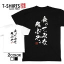 tシャツ ネタtシャツ 送料無料 tee おもしろtシャツ おもしろ雑貨 漢字 文字 メッセージtシャツ ネタtシャツ 文字tシャツ パロディTシャツ ふざけt...