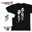 tシャツ ネタtシャツ tee おもしろtシャツ おもしろ雑貨 漢字 文字 メッセージtシャツ ネタtシャツ 文字tシャツ パロディTシャツ ふざけtシャツグッズ メンズ レディース 名言 格言 語録 パロディ プレゼント ギフト 名言 半袖 S M L XL ティーシャツ