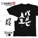 tシャツ ネタtシャツ 送料無料 tee おもしろtシャツ おもしろ雑貨 漢字 文字 メッセージtシャツ ネタtシャツ 文字tシャツ パロディTシャツ ふざけt...