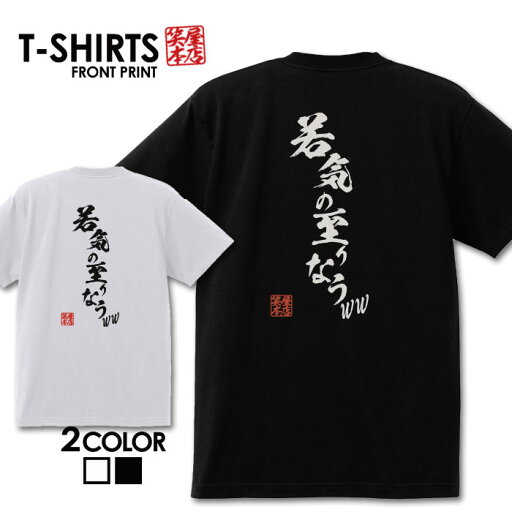 おもしろ tシャツ 面白いTシャツ ネタtシャツ 送料無料 おもしろ雑貨 漢字 文字 メッセージtシャツ ネタtシャツ 文字tシャツ パロディTシャツ ふざけtシャツグッズ メンズ 名言 プレゼント ギフト 名言 半袖 S M L XL ティーシャツ