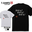 おもしろ tシャツ 面白いTシャツ ネタtシャツ 送料無料 おもしろ雑貨 漢字 文字 メッセージtシャツ ネタtシャツ 文字tシャツ パロディTシャツ ふざけtシャツグッズ メンズ 名言 プレゼント ギフト 名言 半袖 S M L XL ティーシャツ(4)