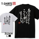 おもしろTシャツ 文字Tシャツ パロディ ふざけtシャツ 名言 プレゼント ギフト 名言 半袖 S M L XL 送料無料 メンズ