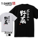おもしろTシャツ 文字Tシャツ パロディ ふざけtシャツ 名言 プレゼント ギフト 名言 半袖 S M L XL 送料無料 メンズ
