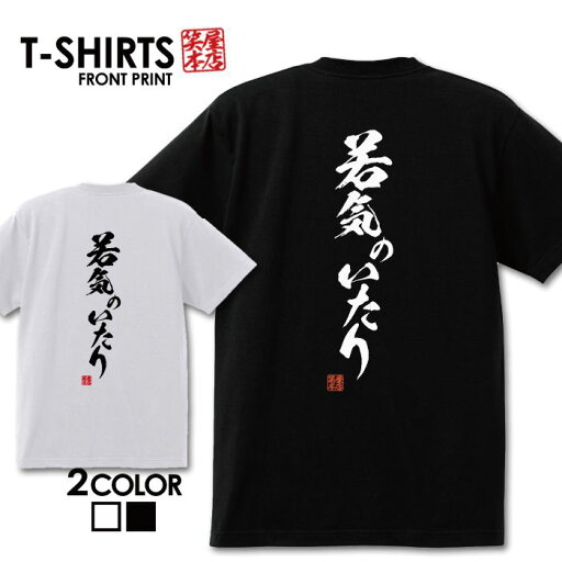 おもしろ tシャツ 面白いTシャツ ネタtシャツ 送料無料 おもしろ雑貨 漢字 文字 メッセージtシャツ ネタtシャツ 文字tシャツ パロディTシャツ ふざけtシャツグッズ メンズ 名言 格言 語録 パロディ プレゼント ギフト 名言 半袖 S M L XL ティーシャツ
