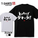 おもしろ tシャツ 面白いTシャツ ネタtシャツ 送料無料 おもしろ雑貨 漢字 文字 メッセージtシャツ ネタtシャツ 文字tシャツ パロディTシャツ ふざけt...